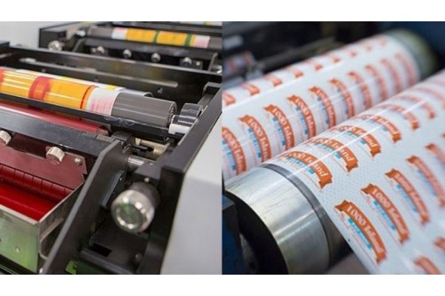 Vecni trong in Flexo là gì? Những thông tin không nên bỏ qua